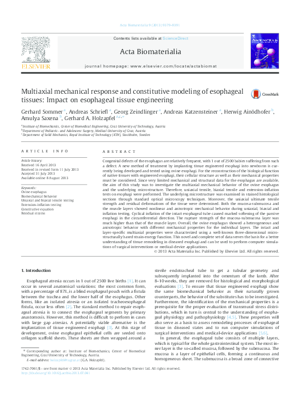 (PDF) Multiaxial mechanical response and constitutive modeling of ...