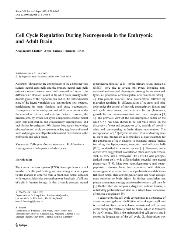 (PDF) Cell Cycle Regulation During Neurogenesis in the Embryonic and ...