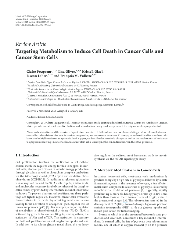(PDF) Targeting Metabolism to Induce Cell Death in Cancer Cells and ...