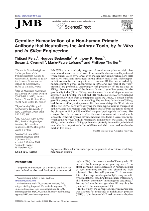 Germline genome picture