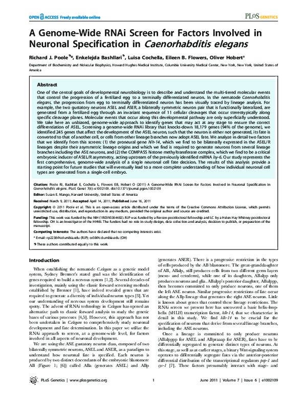 (PDF) A Genome-Wide RNAi Screen for Factors Involved in Neuronal ...