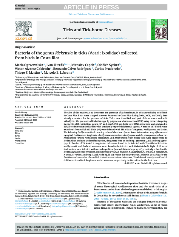 (PDF) Bacteria of the genus Rickettsia in ticks (Acari Ixodidae