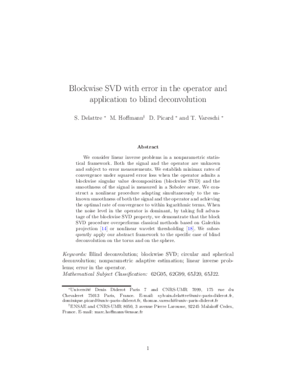 (PDF) Blockwise SVD with error in the operator and application to blind ...