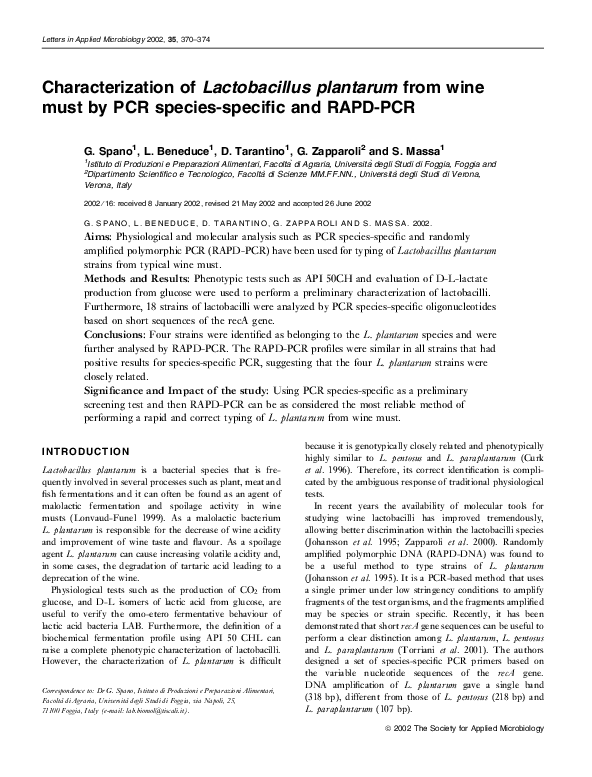 (PDF) Characterization of Lactobacillus plantarum from wine must by PCR