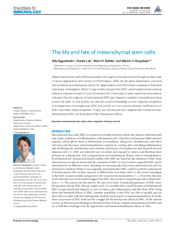 (PDF) The life and fate of mesenchymal stem cells