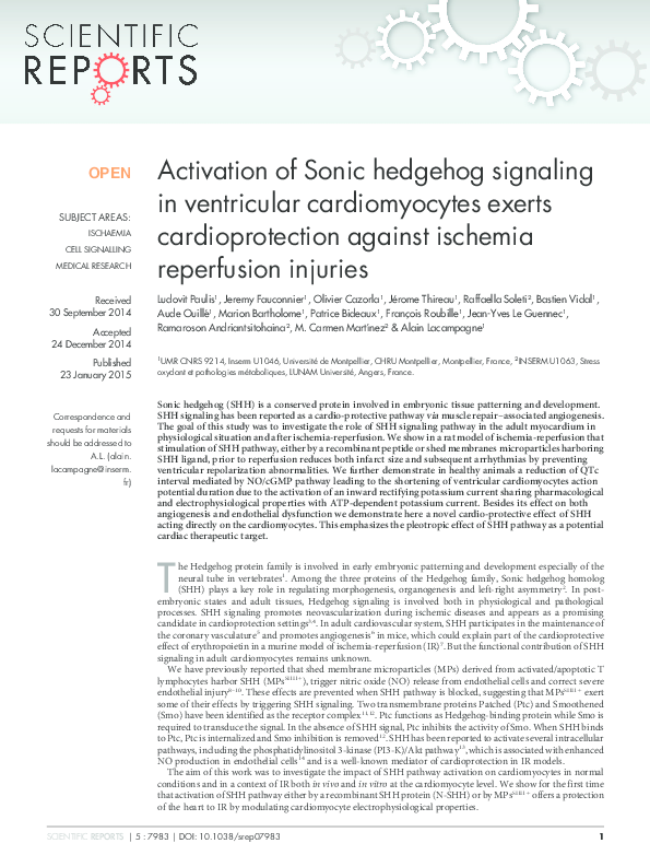(PDF) Activation of Sonic hedgehog signaling in ventricular ...