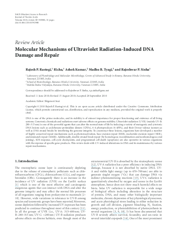(PDF) Molecular mechanisms of ultraviolet radiation-induced DNA damage ...