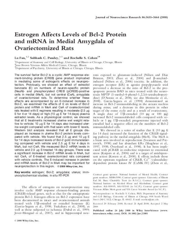 (PDF) Estrogen affects levels of Bcl-2 protein and mRNA in medial ...