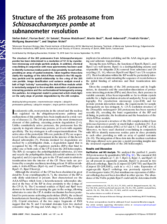(PDF) Structure of the 26S proteasome from Schizosaccharomyces pombe at ...