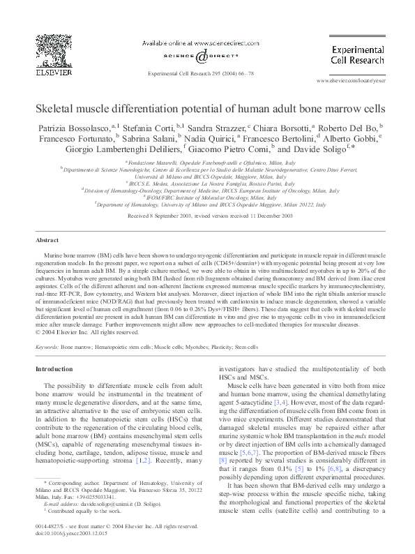 (PDF) Skeletal muscle differentiation potential of human adult bone ...