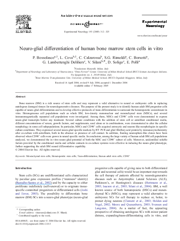 (PDF) Neuro-glial differentiation of human bone marrow stem cells in vitro