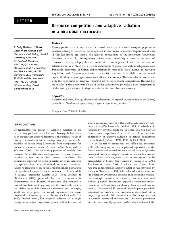 Adaptive radiation in mammals image
