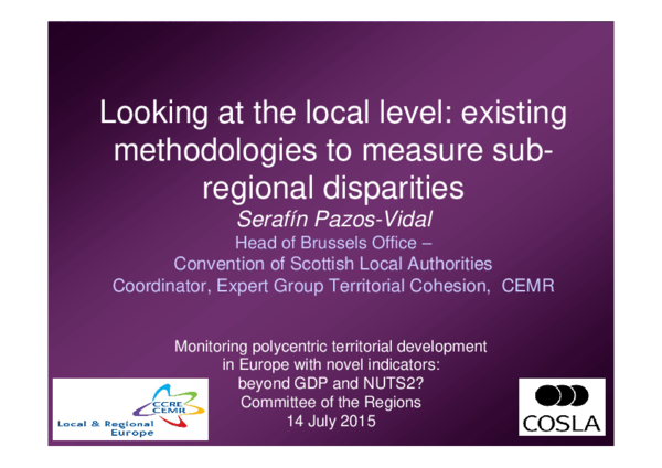 (PDF) Looking at the local level: existing methodologies to measure sub ...