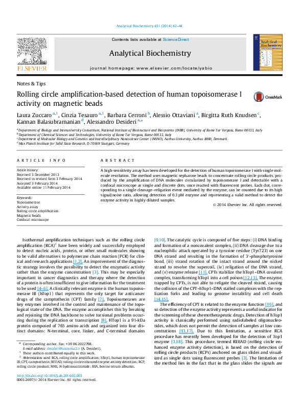 (PDF) Rolling circle amplification-based detection of human ...