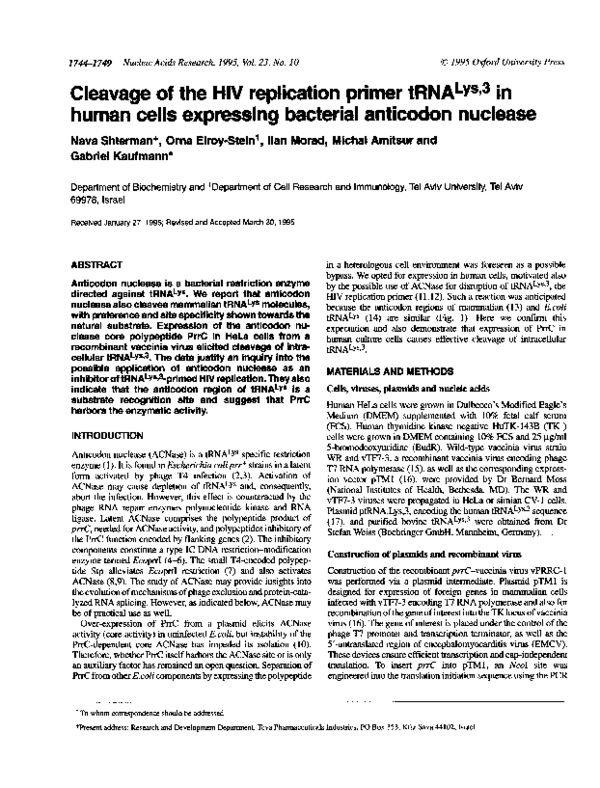 Pattern of embryonic cleavage picture