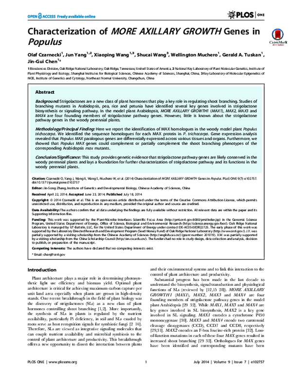 (PDF) Characterization of MORE AXILLARY GROWTH Genes in Populus