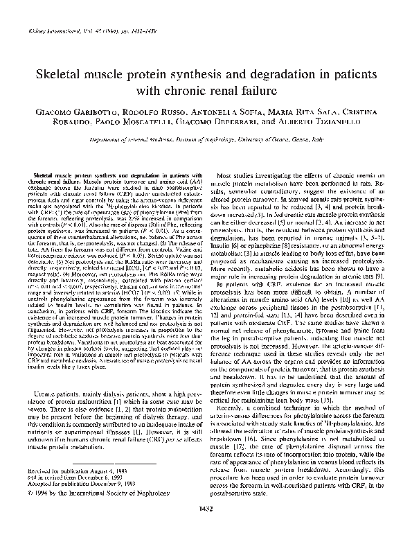 (PDF) Skeletal Muscle Protein Synthesis and Degradation Following ...