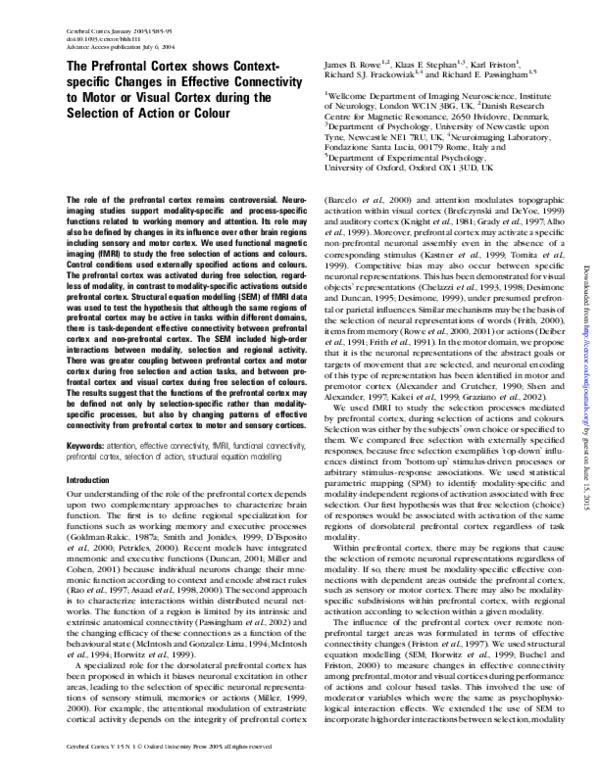 PSE-Cortex Deutsch