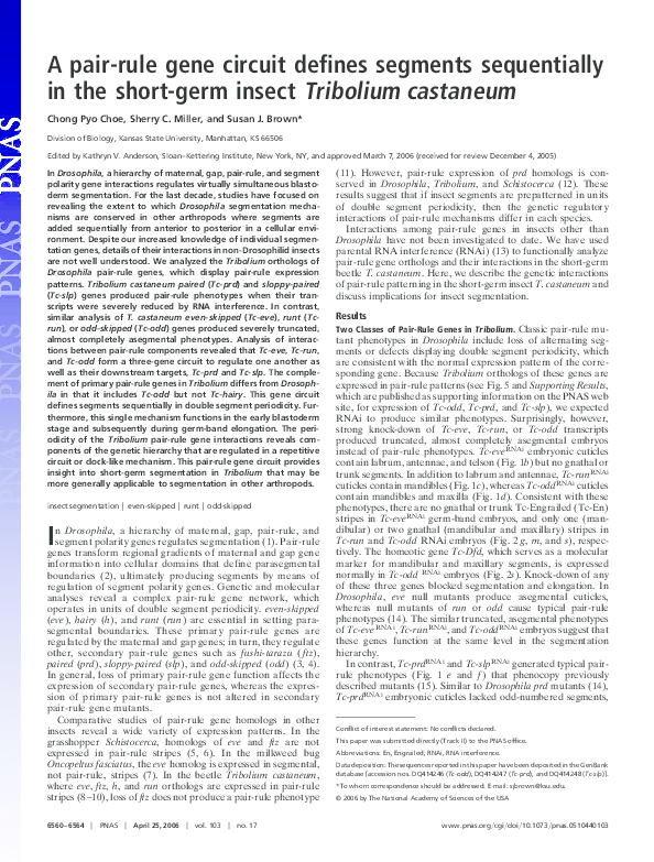 (PDF) A pair-rule gene circuit defines segments sequentially in the ...