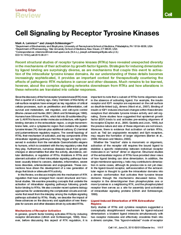 (PDF) Cell Signaling by Receptor Tyrosine Kinases