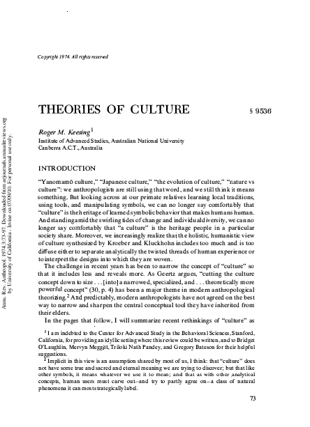 Yanmamo culture essay image