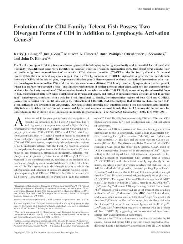 Friendship in divergent image