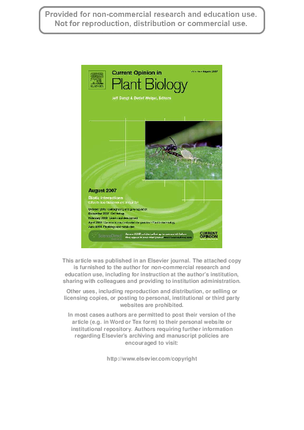 How to manage stress essay image