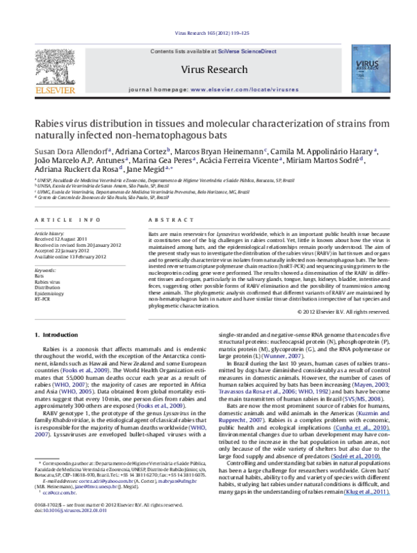 (PDF) Rabies virus distribution in tissues and molecular ...