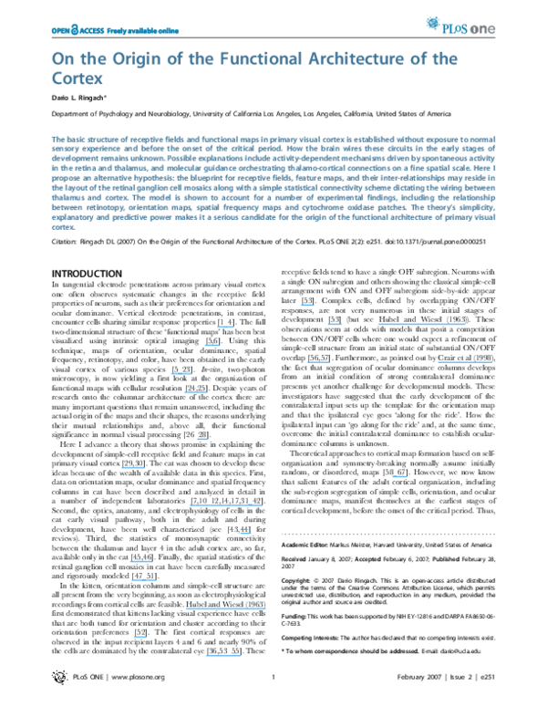 (PDF) On the origin of the functional architecture of the cortex
