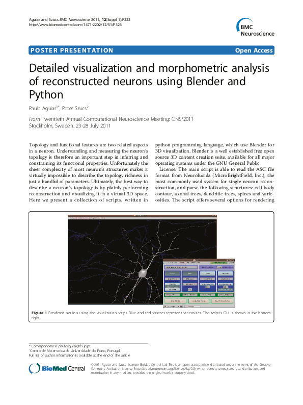 (PDF) Detailed visualization and morphometric analysis of reconstructed ...