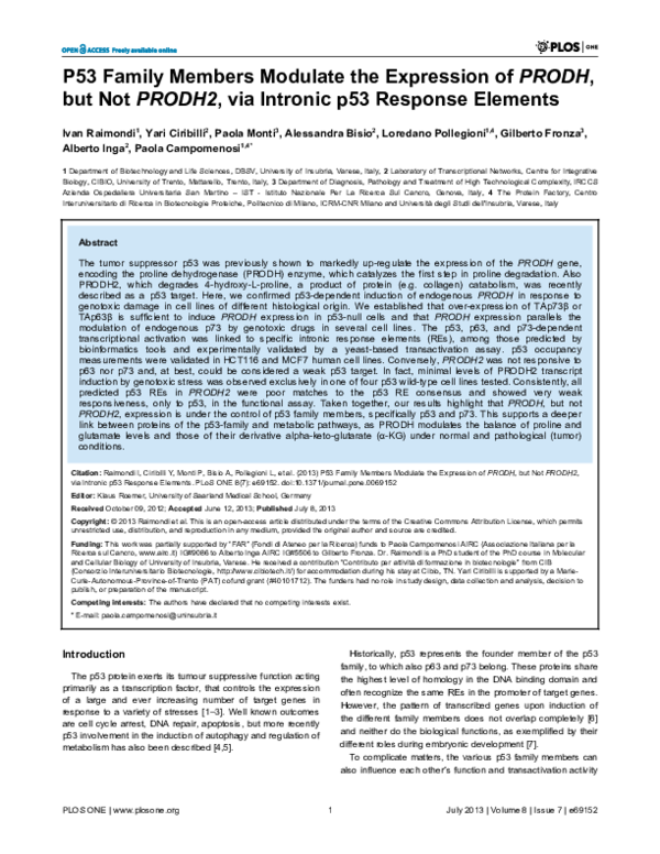 (PDF) P53 Family Members Modulate the Expression of PRODH, but Not ...