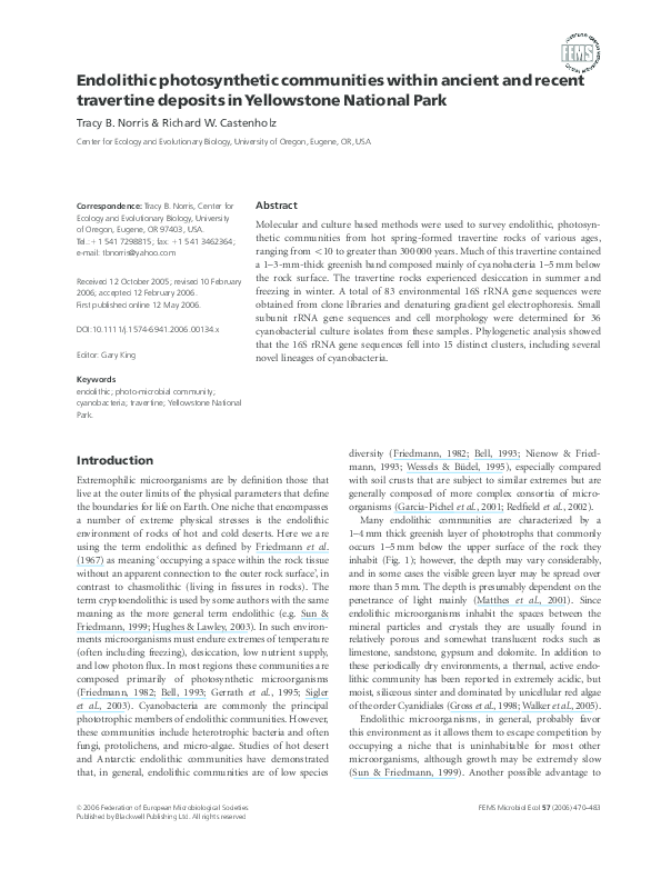(PDF) Endolithic photosynthetic communities within ancient and recent ...