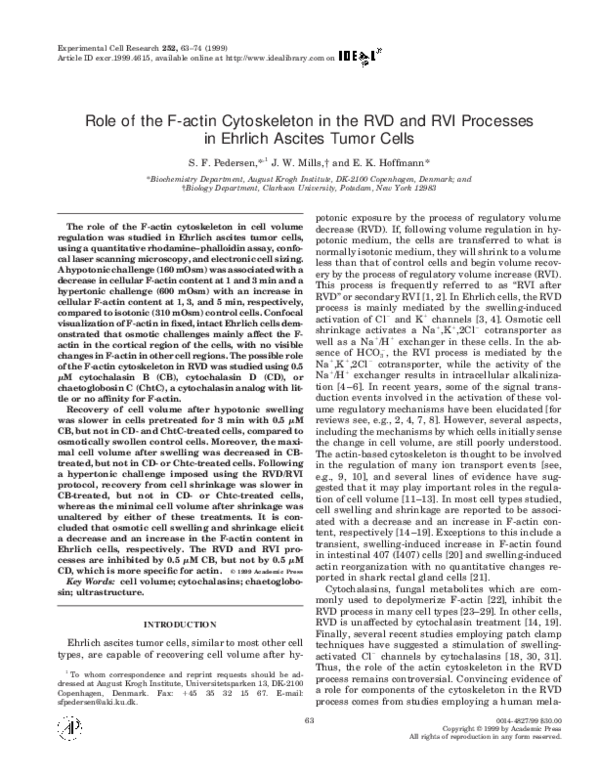 (PDF) Role of the F-actin Cytoskeleton in the RVD and RVI Processes in ...