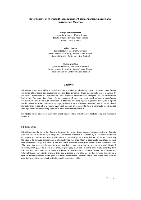 Microfinance for entrepreneurs image