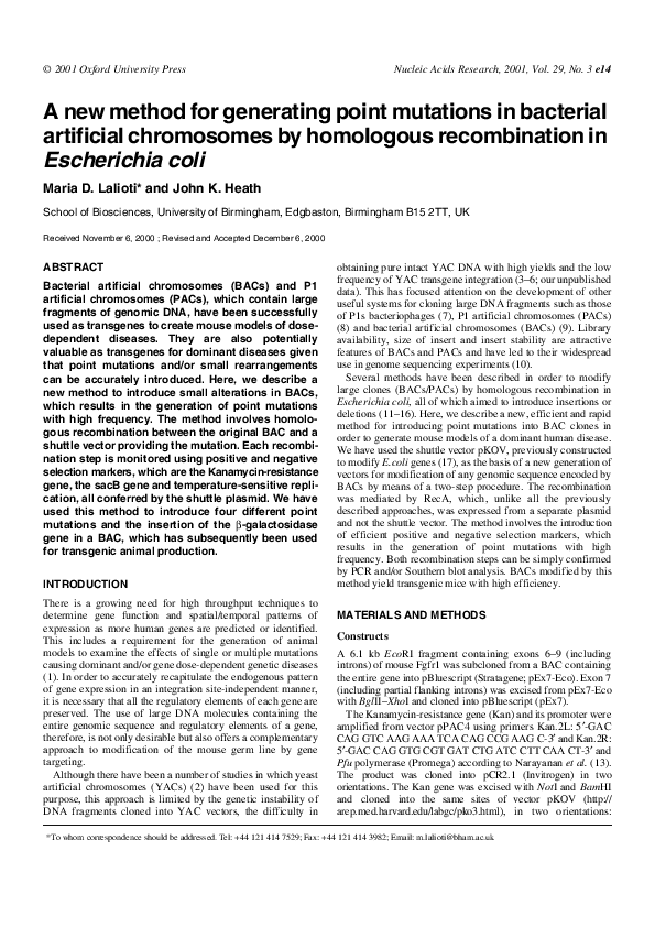 Bacterial genetic recombination image