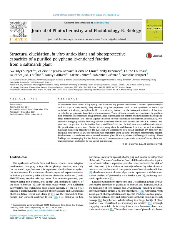 (PDF) Structural elucidation, in vitro antioxidant and photoprotective ...