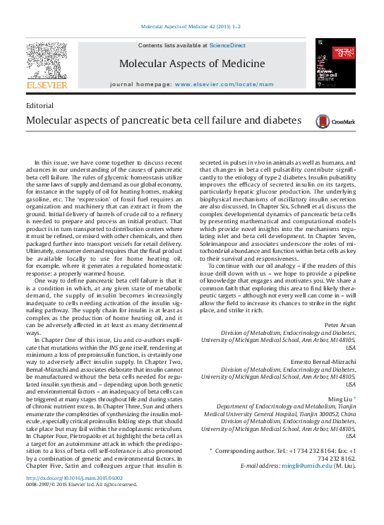 (PDF) Molecular aspects of pancreatic beta cell failure and diabetes