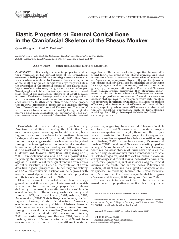 Compact bone function picture