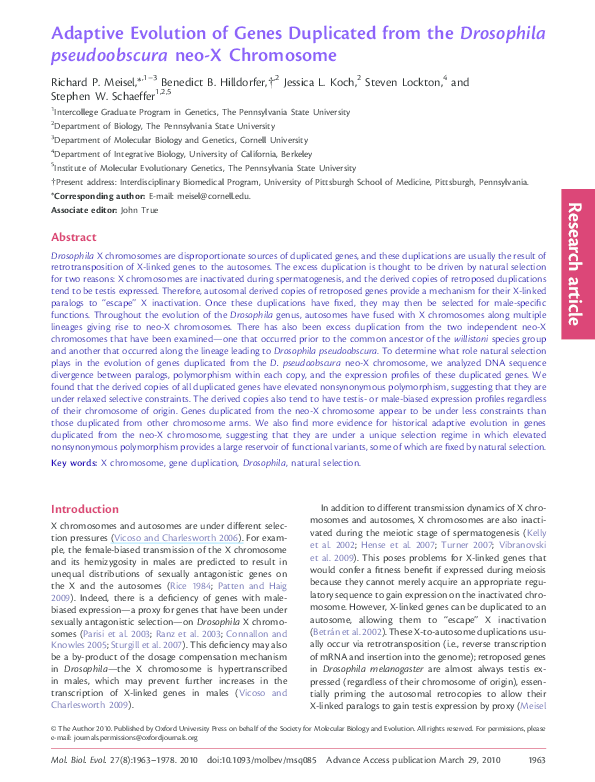 (PDF) Adaptive Evolution of Genes Duplicated from the Drosophila ...