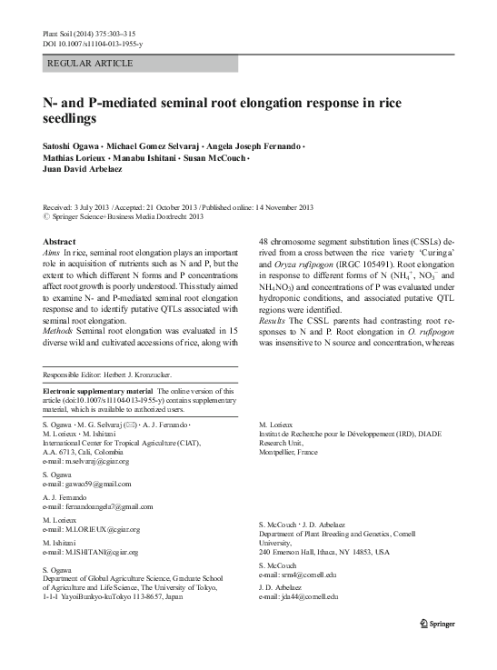 (PDF) N- and P-mediated seminal root elongation response in rice seedlings