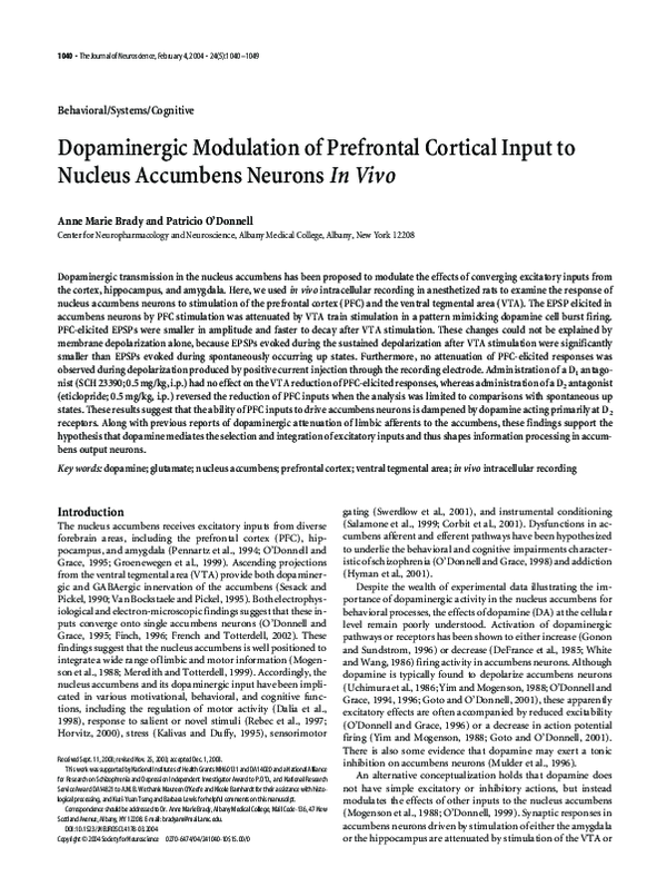 (PDF) Dopaminergic Modulation of Prefrontal Cortical Input to Nucleus ...