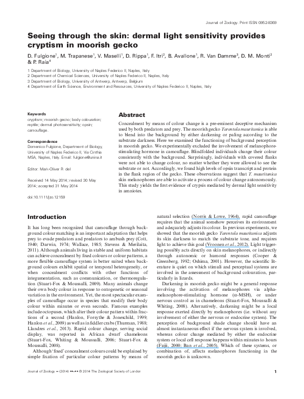 (PDF) Seeing through the skin: dermal light sensitivity provides ...