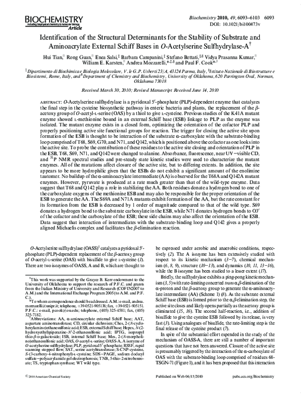 (PDF) Identification of the Structural Determinants for the Stability ...