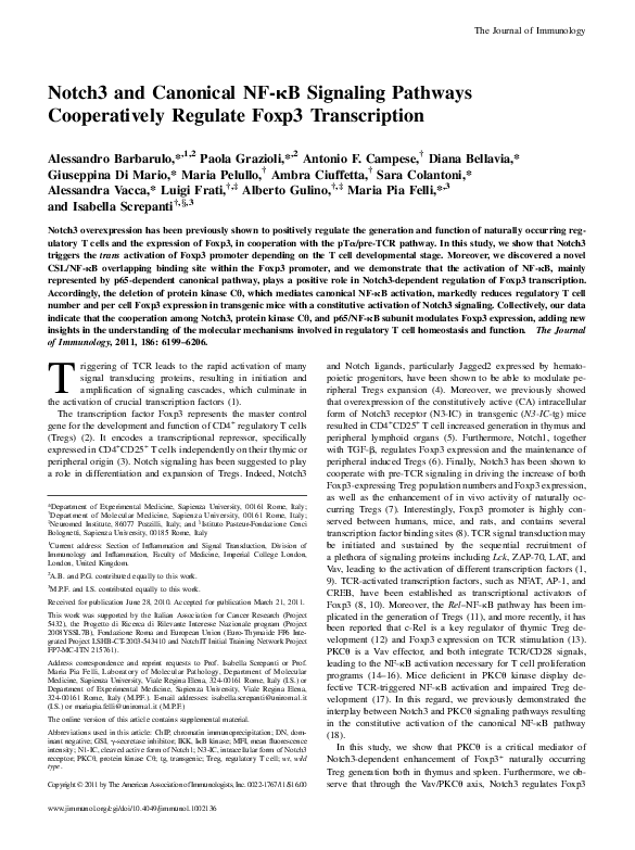 (PDF) Notch3 and Canonical NF- B Signaling Pathways Cooperatively ...