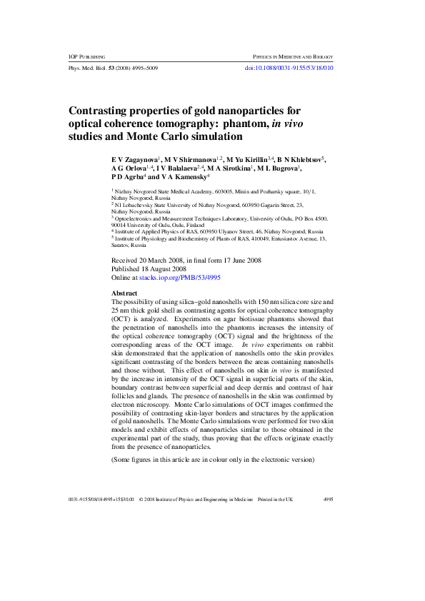 Essay about nanoshells 03 picture