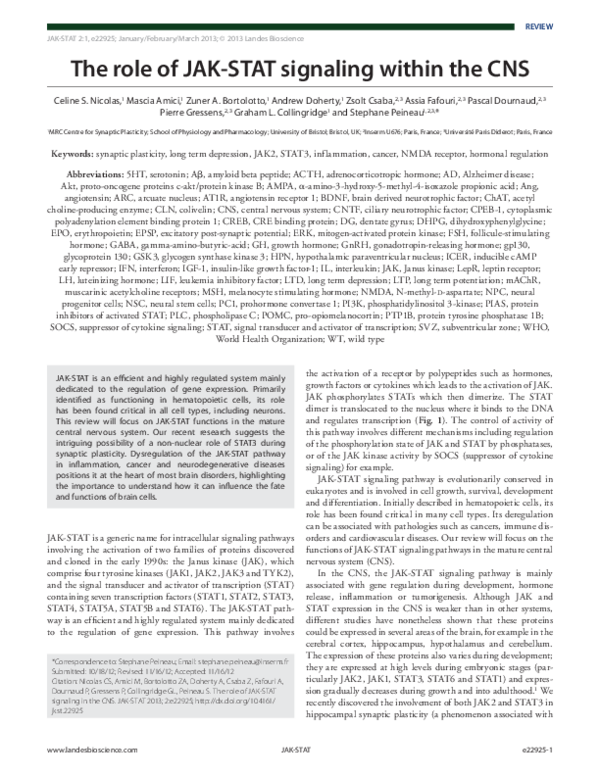 (PDF) The role of JAK-STAT signaling within the CNS