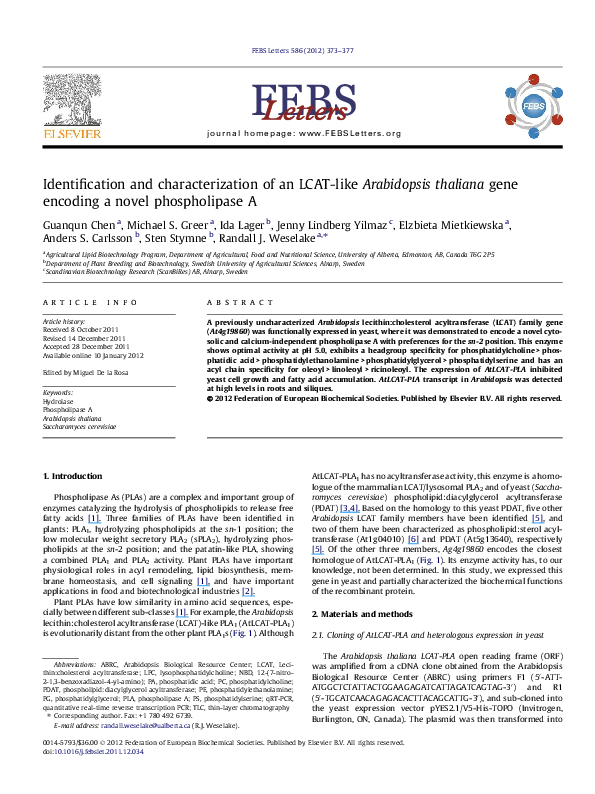 Arabidopsis thaliana database picture