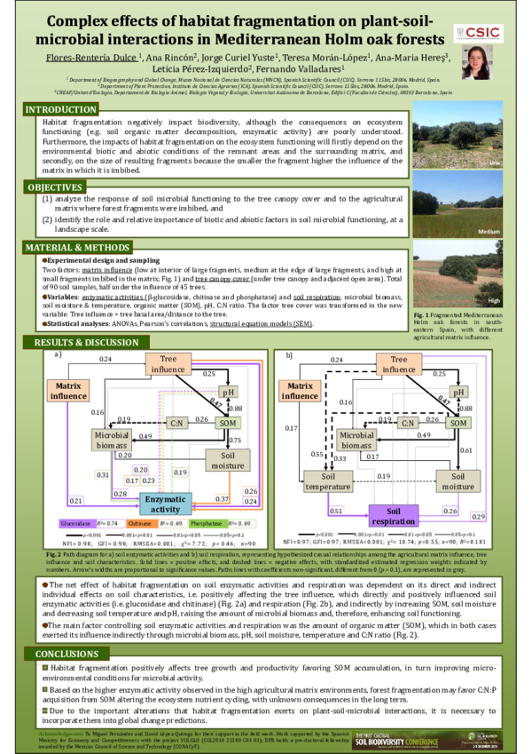 (PDF) Complex effects of habitat fragmentation on plant‐soil microbial ...