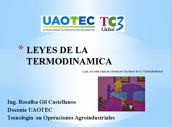 (PPT) LEYES DE LA TERMODINAMICA1