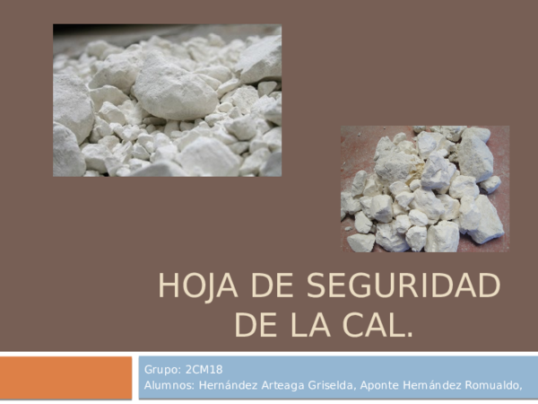 (PPT) Hoja de seguridad CAL